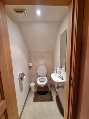 a small bathroom with a toilet and a sink at Susberg 3 in Pelt