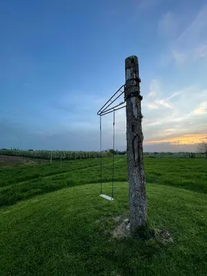 a swing on a tree in the middle of a field at Huis van Hout - architectenwoning met grote panorama tuin - design hot tub optioneel in Herk-de-Stad