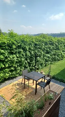 a bench and a table and a chair on a patio at Le Makalle in Dalhem