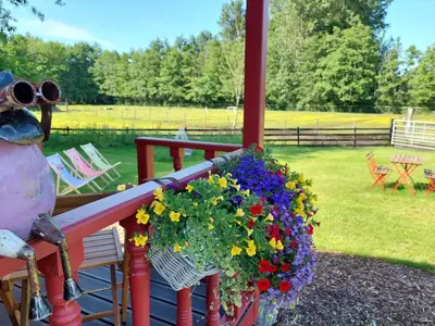 a porch with a bunch of flowers on it at Margaux B&B Babbita in Stokrooie