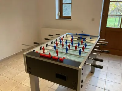 a ping pong table in a room with at Cour 44 - Gite de charme avec sauna et jacuzzi in Remicourt