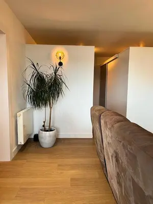 a living room with a couch and a potted plant at R&M in Kortessem