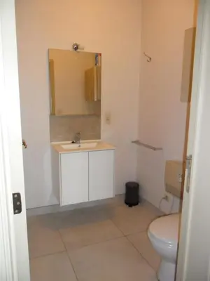 a bathroom with a sink and a toilet at Schophemmerhoeve in Voeren