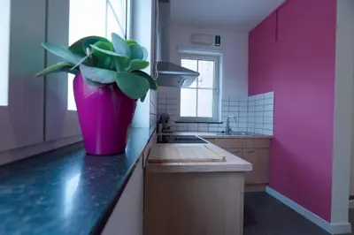 a pink vase sitting on a counter in a kitchen at Vakantiewoningen Pomona in Heers