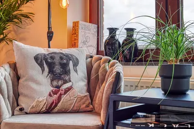 a dog sitting on a pillow on a couch at BnB Pastel -B&B Breakfast Included- in Dilsen-Stokkem