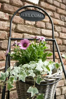 a basket of flowers sitting on a iron chair at B&B La ferme de Berwausault in Herve