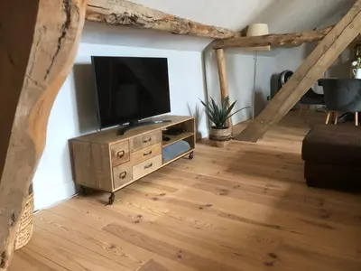 a living room with a television on a wooden dresser at Welness gastenverblijf Carpe Diem in Oudsbergen