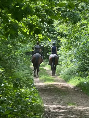 two people riding horses down a dirt trail at Welness gastenverblijf Carpe Diem in Oudsbergen