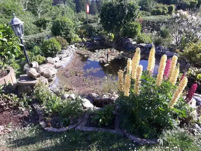 a garden with a pond and flowers and a street light at Studio Au jardin fleuri in Verviers