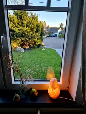 an open window with a view of a yard at Haus Dany in Raeren