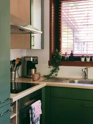 a kitchen with green cabinets and a sink at Mimi's natuurhuisje in Lanaken