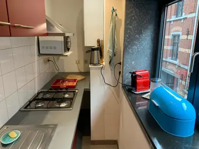 a small kitchen with a stove and a sink at Le Pavillon de Flore by Maison Brasseurs d'Etoiles - Appartement 2 personnes in Liège