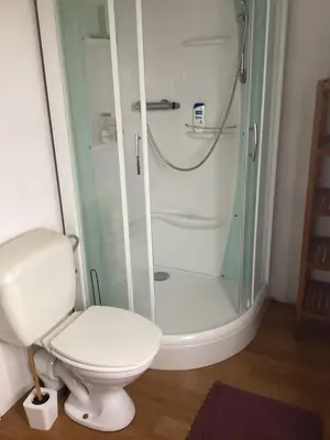 a bathroom with a toilet and a shower at Les chineurs du 81 in Liège