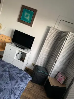 a bedroom with a bed and a flat screen tv at Les chineurs du 81 in Liège