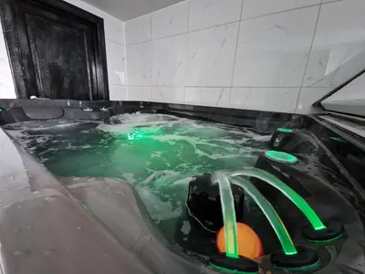 a jacuzzi tub with green water in it at Tendresse - Espace Détente Ensival in Verviers