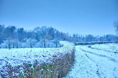 a snow covered field with a fence and a dirt road at lit-loo in Hasselt