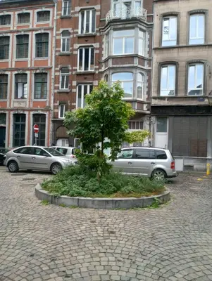 a tree in a courtyard in front of buildings at Studio régence in Liège