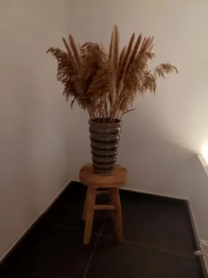 a plant in a vase sitting on a stool at Luxe-kamer Bed en Bokes in Drieslinter