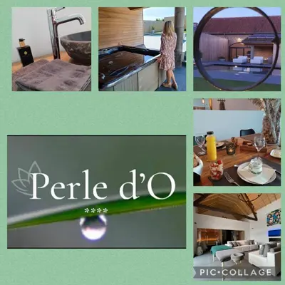 a collage of photos of a kitchen and living room at Luxe-kamer Bed en Bokes in Drieslinter
