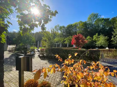 a sun shining through a tree in a park at La Bel échappée in Aubel