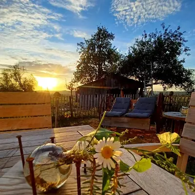 a table with a flower in a vase on top of a wooden table at La Cabane du Coing in Visé
