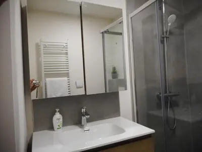 a bathroom with a sink and a shower at De Hoog Velden 13 in Pelt