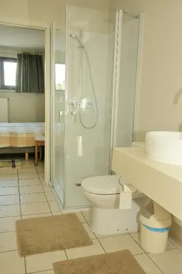 a bathroom with a shower and a toilet and a sink at Holiday Home 't Regulierenhuisje in Tongeren