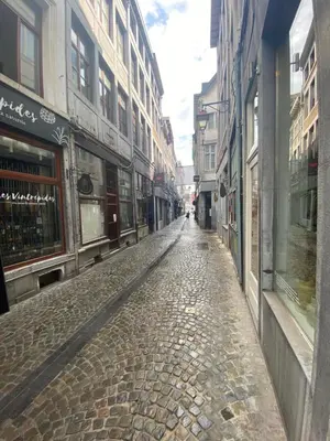 a cobblestone street in a city with buildings at TRIPLEX NEUVICE in Liège