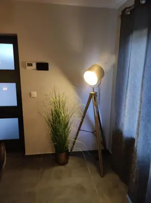 a light on a tripod next to a plant at Gîte La Renéade in Foyr