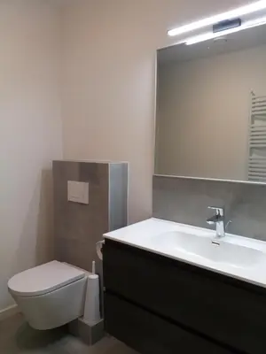 a bathroom with a sink and a toilet and a mirror at De Hoog Velden 14 in Pelt