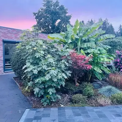 Prachtig guesthouse met gratis parkeren