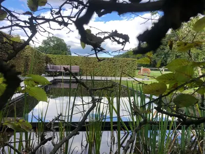 a view of a pond in a park at B&B De Paenhoeve in Eksel