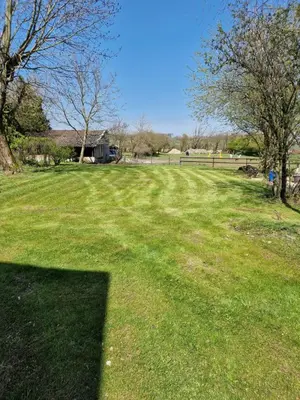 a field of green grass with a tree in it at Gîte Eschen in Plombières