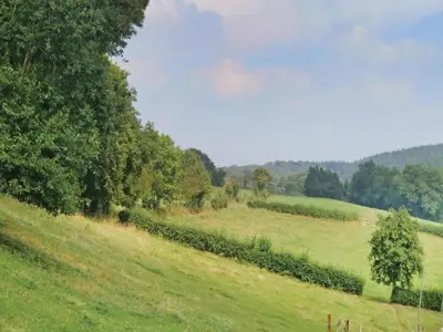 a green field with trees in the distance at Verviers Villa with Sauna in Verviers