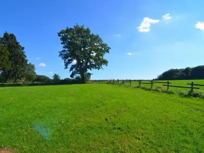 a tree in a field with a fence at Verviers Villa with Sauna in Verviers
