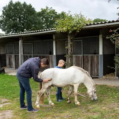 a woman and a child petting a white horse at Franciscushof in Pelt
