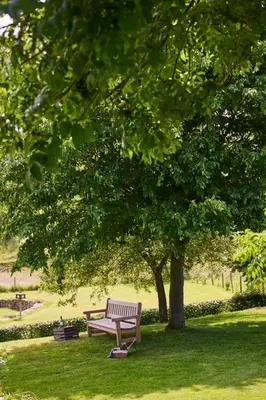 a park bench sitting under a tree in the grass at La belle Maison in Sippenaeken