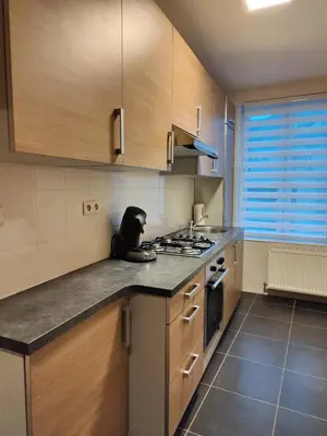 a black dog sitting on the counter of a kitchen at Leopold Appartementen & studio's in Sint-Truiden