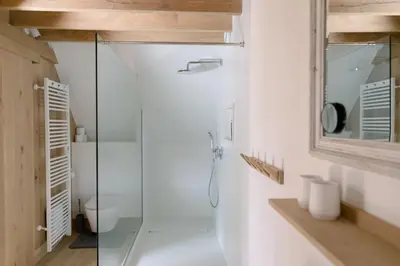 a bathroom with a shower and a toilet at Lodge op de Berg in Bree
