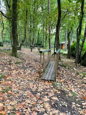 a wooden bridge in a park with trees and leaves at Pipowagen de Kat in de Hoge Kempen nabij Maastricht in Lanaken