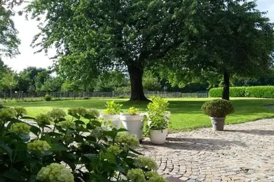a row of white pots with plants in a garden at Country house Clos des hortensias in Blégny