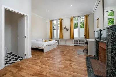 a large room with a bed and a fireplace at Amazing appartement à Liège avec jardin in Liège