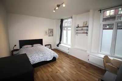 a white bedroom with a bed and two windows at Bel appartement 2 chambres avec terrasse in Liège