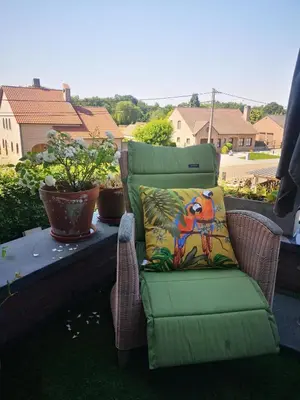 a wicker chair with a colorful pillow on a patio at Nimary Logies in Heusden - Zolder