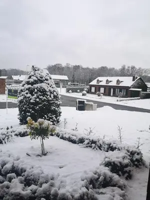a snow covered yard with a tree and a building at Nimary Logies in Heusden - Zolder