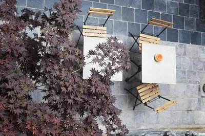 a group of chairs and plants on a brick wall at Bonjour Pierreuse in Liège