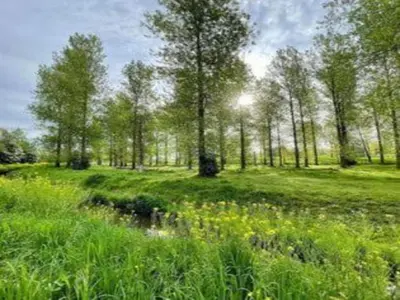 a field of grass with trees and a pond at Maasmechelen Duplex Retreat in Maasmechelen