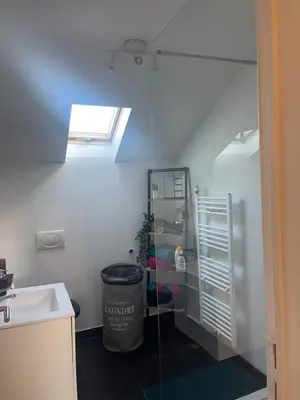 a bathroom with a shower and a sink and a window at Le cocon de la belle liégeoise in Liège