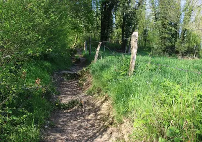 a dirt trail with a fence and a field at Arcaden loft in Sint-Martens-Voeren