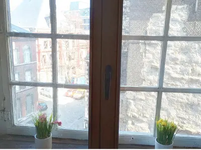 a window with two potted plants in front of it at Logment saint denis in Liège